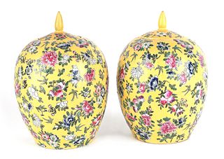 Pair of Chinese porcelain yellow ground covered ja