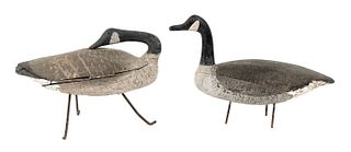 Pair of carved and painted Canada goose decoys, ea