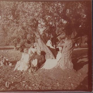 Antique Monochrome Photograph, Family in Olive Grove