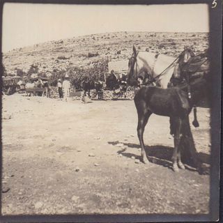 Antique Monochrome Photograph, Middle-Eastern Caravan