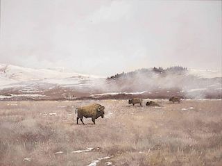 Douglas Ricks 1954 - 2003 | Buffalo Grazing in Winter