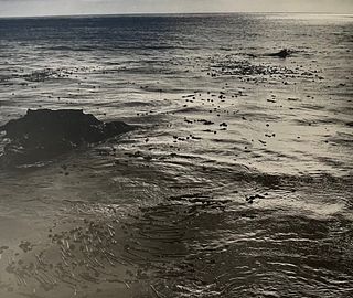Edward Weston "Sea and Kelp" Print.