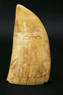 Scrimshaw Antique Whale Tooth, mid 19th Century