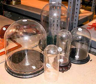 A Group of Glass Domes with Stands. Height of tallest 14 inches.