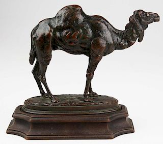 Early 20Th C After Antoine-Louis Barye Bronze Camel