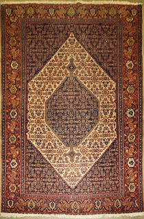 Early 20Th C Persian Area Rug