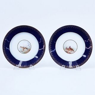 Limoges Porcelain Cabinet Plates