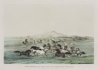George Catlin 1796 - 1872 NA | Wild Horses, At Play on the American Prairies