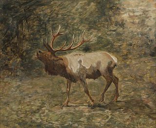 John "Jake" Howland 1843 - 1914 | Elk