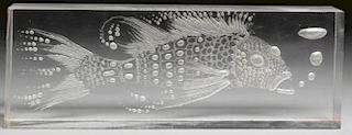 Clear Acrylic Cube Depicting a Lancetfish