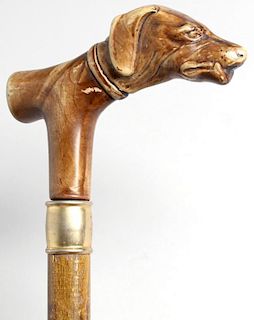 Antique Walking Stick with Dog Head Handle