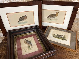 Four Bird Prints