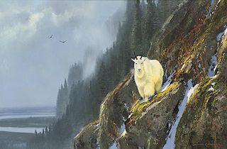 Michael Coleman b. 1946 Guest Artist NAWA | Rocky Mountain Goat (Ospika River)