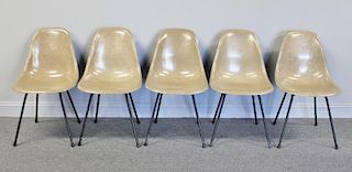 Set of 5 Eames; Herman Miller Shell Chairs.