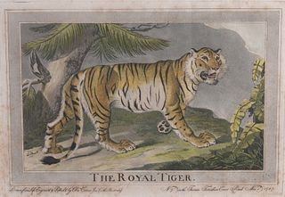 Charles Catton 'The Royal Tiger' Aquatint