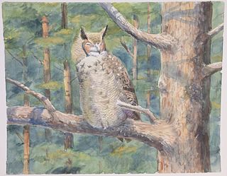 Peter Barrett (B. 1935) "Great Horned Owl"