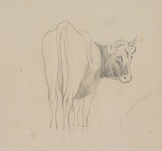 T. WEBER (1813-1875), Animal study. Ox, Pencil