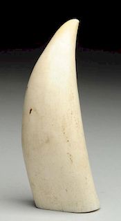 Early Whale's Tooth.