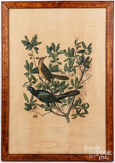 J. Bien lithograph after Audubon