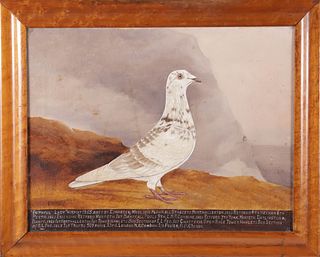 Edward Henry Windred Oil on Canvas "Portrait of the Champion Racing Pigeon Faithful Lady", circa 1935