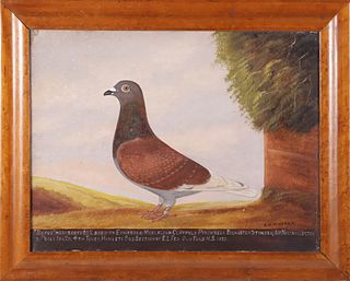 Edward Henry Windred Oil on Canvas "Portrait of the Champion Racing Pigeon Rufus", circa 1920-1930