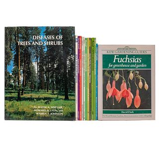American Gardening Series Flowering Shrubs / Shade Gardening / Garden Pools, Fountains & Waterfalls / Controlling Weeds. Pzs 10