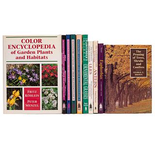 Euphorbias / Color Encyclopedia of Garden Plants and Habitats / The Cattleyas and Their Relatives / The Pruning of Trees. Piezas: 10.