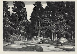 Original Wengenroth Lithograph - Deep Forest, 1937.