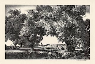 Original Wengenroth Lithograph - Cape Ann Willows, 1947.