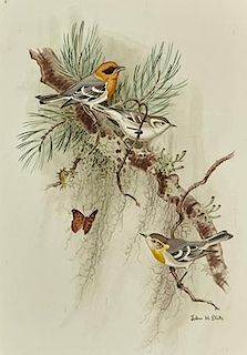 John Henry Dick (1919-2005) Olive Warblers with Butterfly