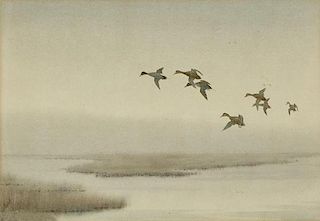 Joseph Day Knap (1875-1962) Pintails at Dawn