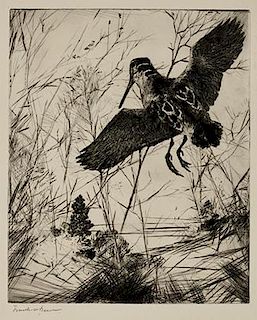 Frank W. Benson (1862-1951) The Woodcock