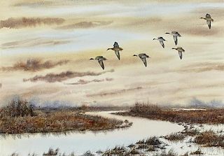 Herb Booth (b. 1942) Pintails
