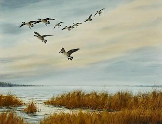 Gary E. Neel (20th Century) Canada Geese