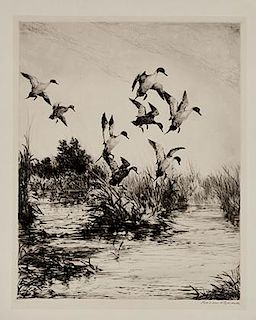 Roland Clark (1874-1957)	A Southland Marsh
