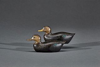Miniature Black Duck Pair George H. Boyd (1873-1941)