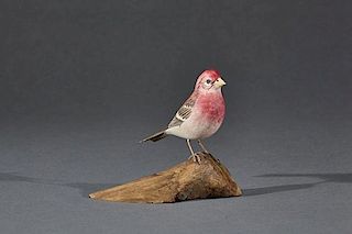 Miniature Purple Finch Robert Morse (1920-1960)