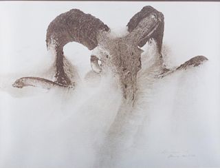 James Bama "Sheep Skull in Drift" Lithograph