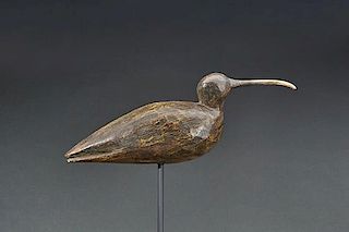 Tucked-Head Curlew Luther Lee Nottingham (1852-1942)