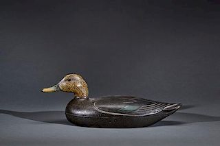 Black Duck Charles Hart (1862-1960)