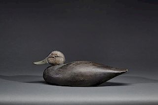 Black Duck A. Elmer Crowell (1862-1952)