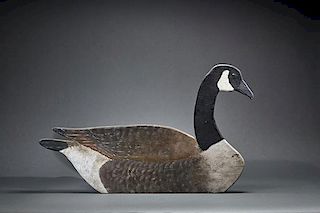 Oversize Goose Flattie