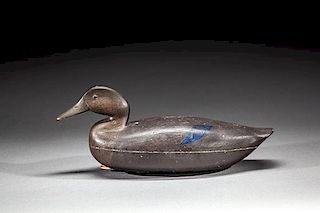 Black Duck George A. Harvey (1875-1945)