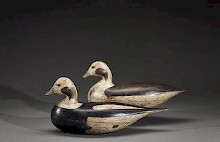 Rare Pair of Long-Tailed Ducks Harry V. Shourds (1861-1920)