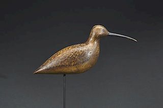 Curlew Harry V. Shourds (1861-1920)