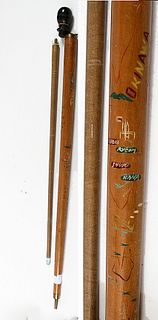 Horn Okinawa Pool Stick Cane