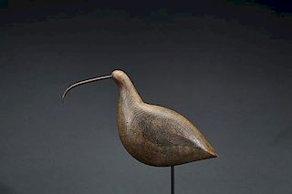 Oversize Curlew with Metal Bill