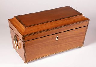 Large Satinwood Double Compartment Tea Caddy, 19th Century
