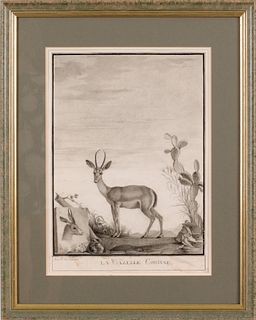 Pencil study of a gazelle signed L. Blumerel, 1812