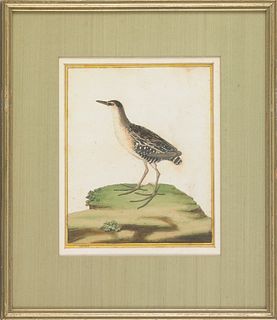 Set of six early bird engravings, 9" x 7 1/4".